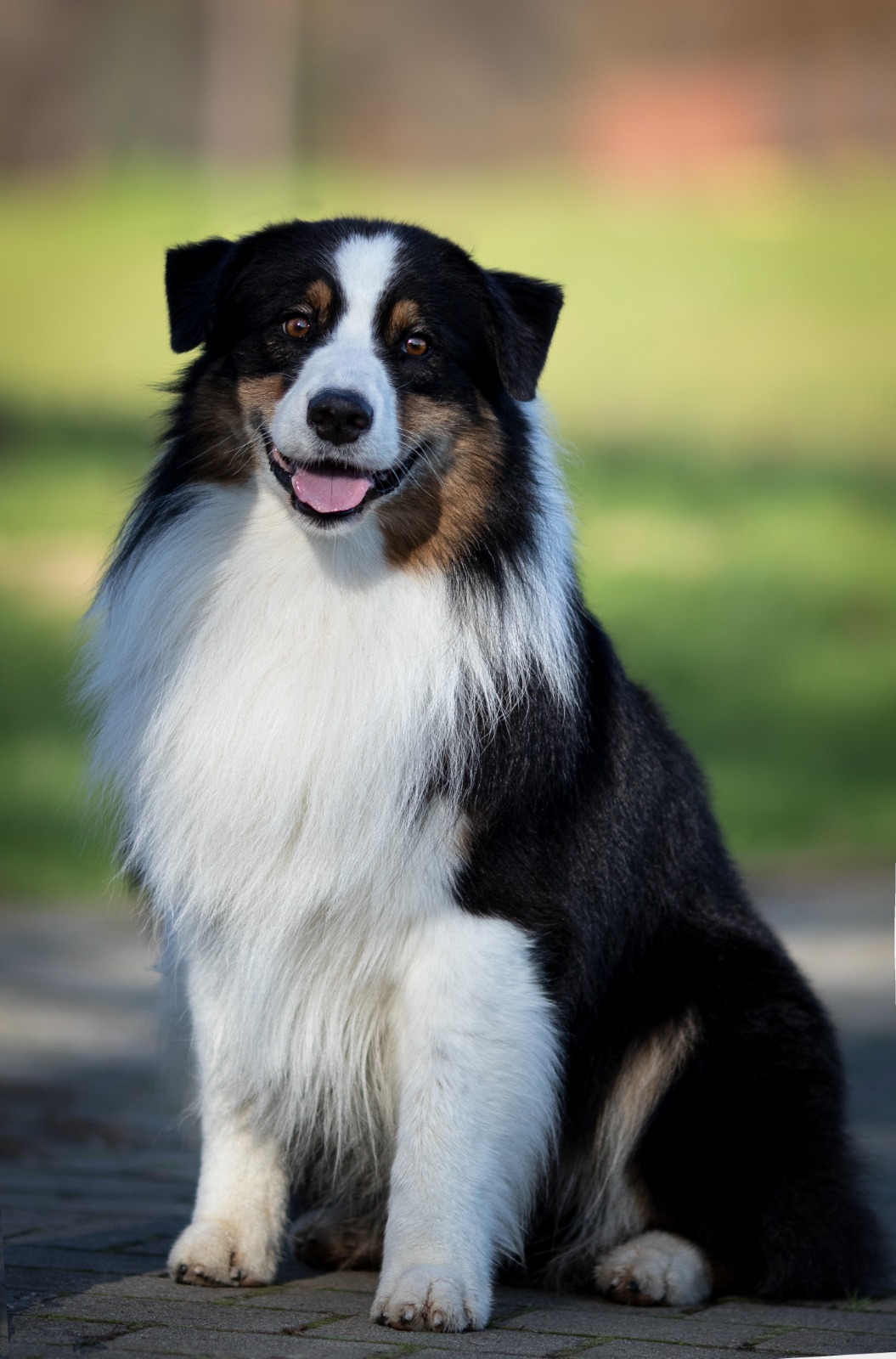 GUs2