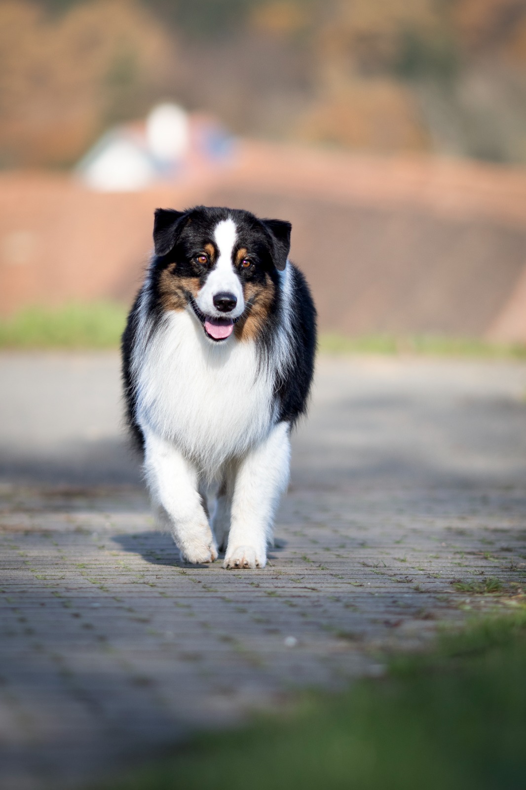 Gus